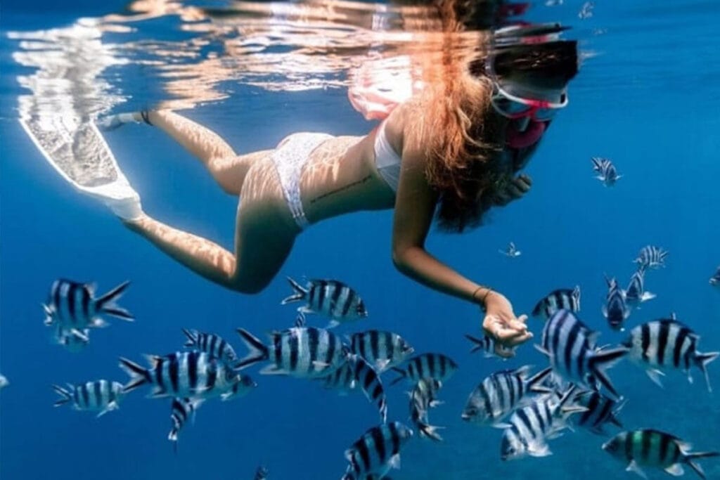 Snorkel Islas Marietas peces tropicales vida marina aguas cristalinas
