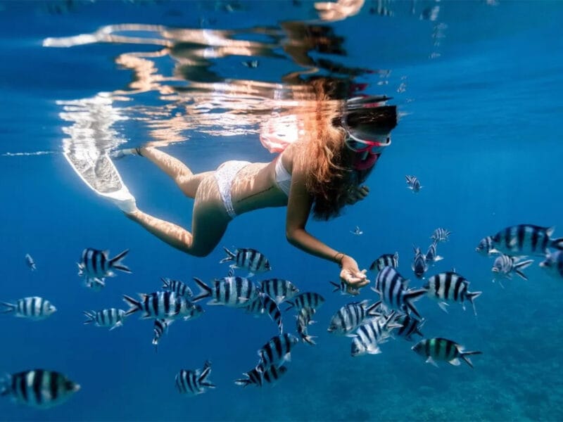 snorkel en punta de mita