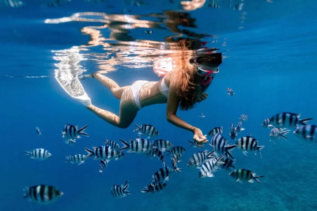 mujer practicando snorkel y explorando la vida marina.