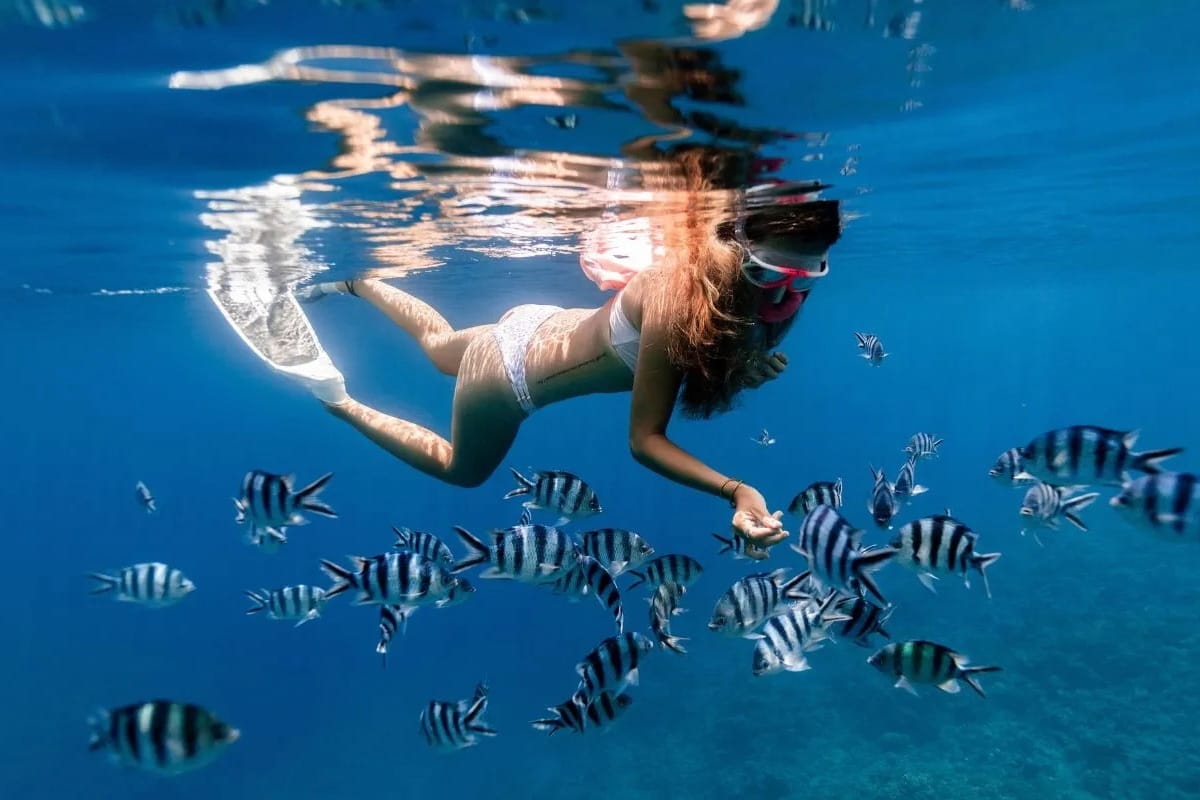 mujer practicando snorkel y explorando la vida marina.