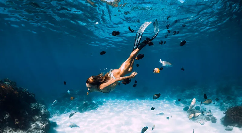 Snorkel en Cueva del Guano Punta de Mita